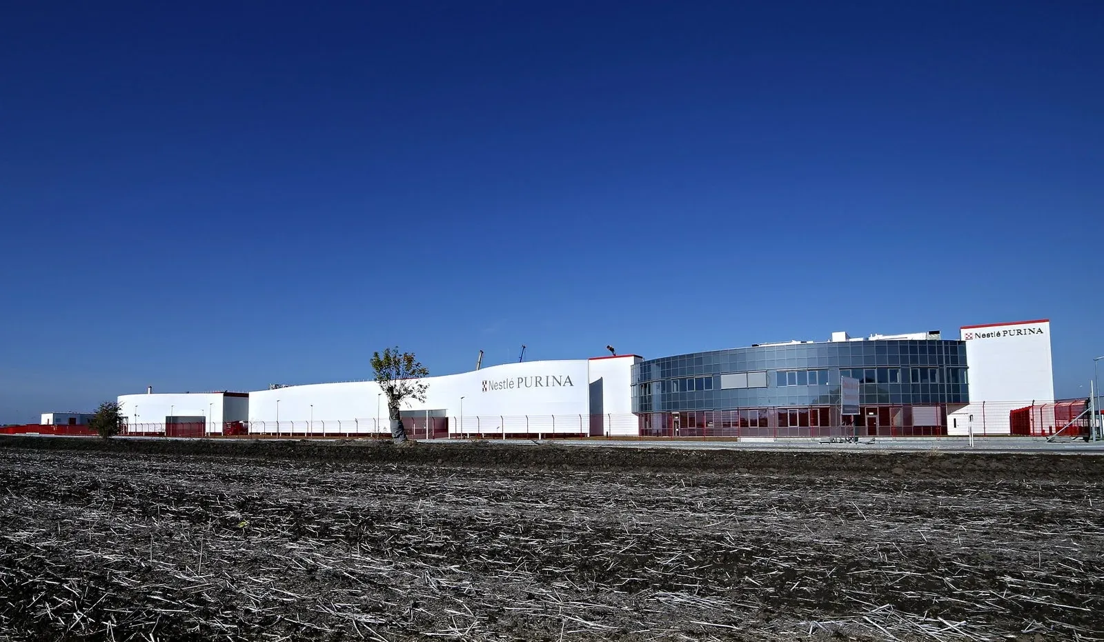 Membranowa fasada dla Nestle Purina we Wrocławiu — 7